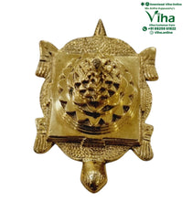 Tortoise Mahameru - Brass