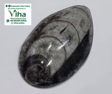 Kuber Stone (orthoceras stone)