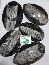 Kuber Stone (orthoceras stone)