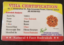 4 Face Rudraksh