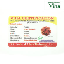 7  Face Rudraksh With Silver Cappings