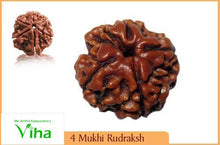 4 Face Rudraksh