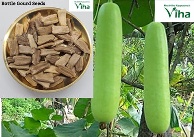 Bottle Gourd Seeds / Long Suraikkai Vidhaigal