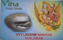 Divya Lakshmi Narayan Saligram