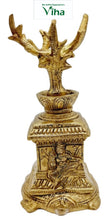 Tortoise Tulsi Maadam