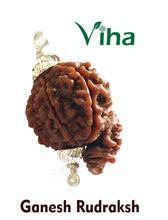 Original Ganesh Rudraksh With Silver Cappings