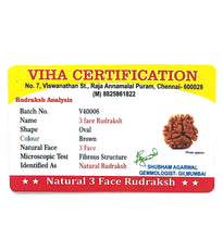 3 Face Rudraksh With Silver Cappings