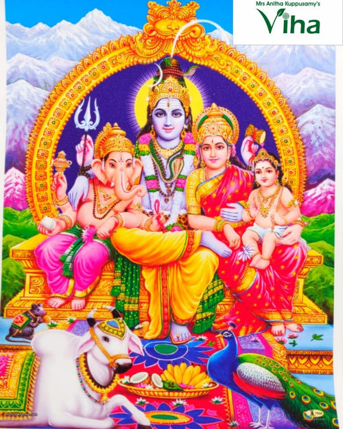 Small Size Sivan Family Photo, Shiva and Parvati seated with Ganesha and Murugan, Nandi the bull and the peacock below them