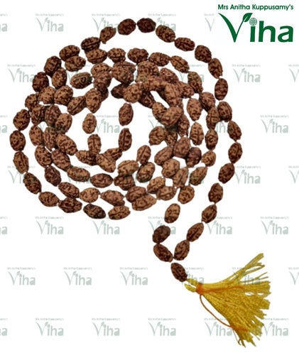 2 Face Rudraksh Mala