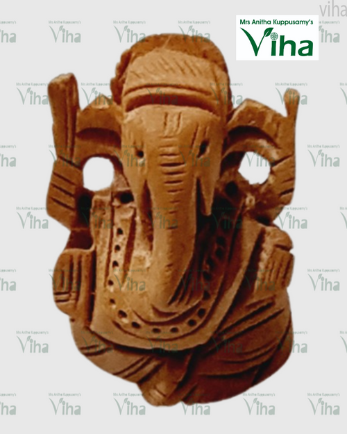 Wooden Ganesha, plain carved face with large ears and a long trunk curving down, unpainted
