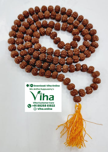 6 Face Rudraksh Mala - 108+1 Beads