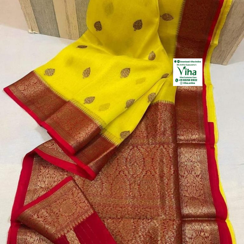 Cora Organza Saree with Grand Pallu & Blouse, zari woven paisley