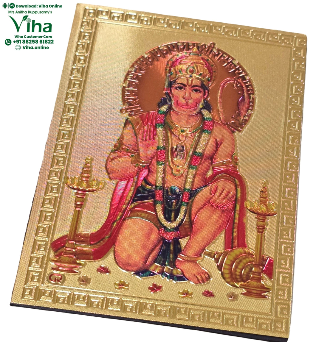 Hanuman Magnetic Metal Photo