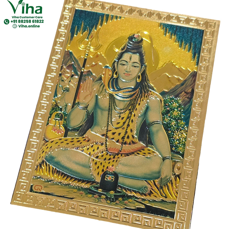 Magnetic Metal Shiva Photo with mountains behind