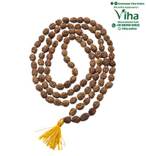 4 Face Rudraksh Mala - 108 + 1 Beads