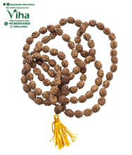 4 Face Rudraksh Mala - 108 + 1 Beads