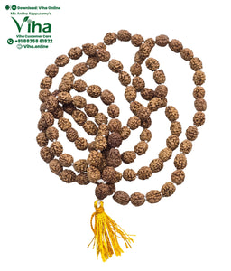 4 Face Rudraksh Mala - 108 + 1 Beads