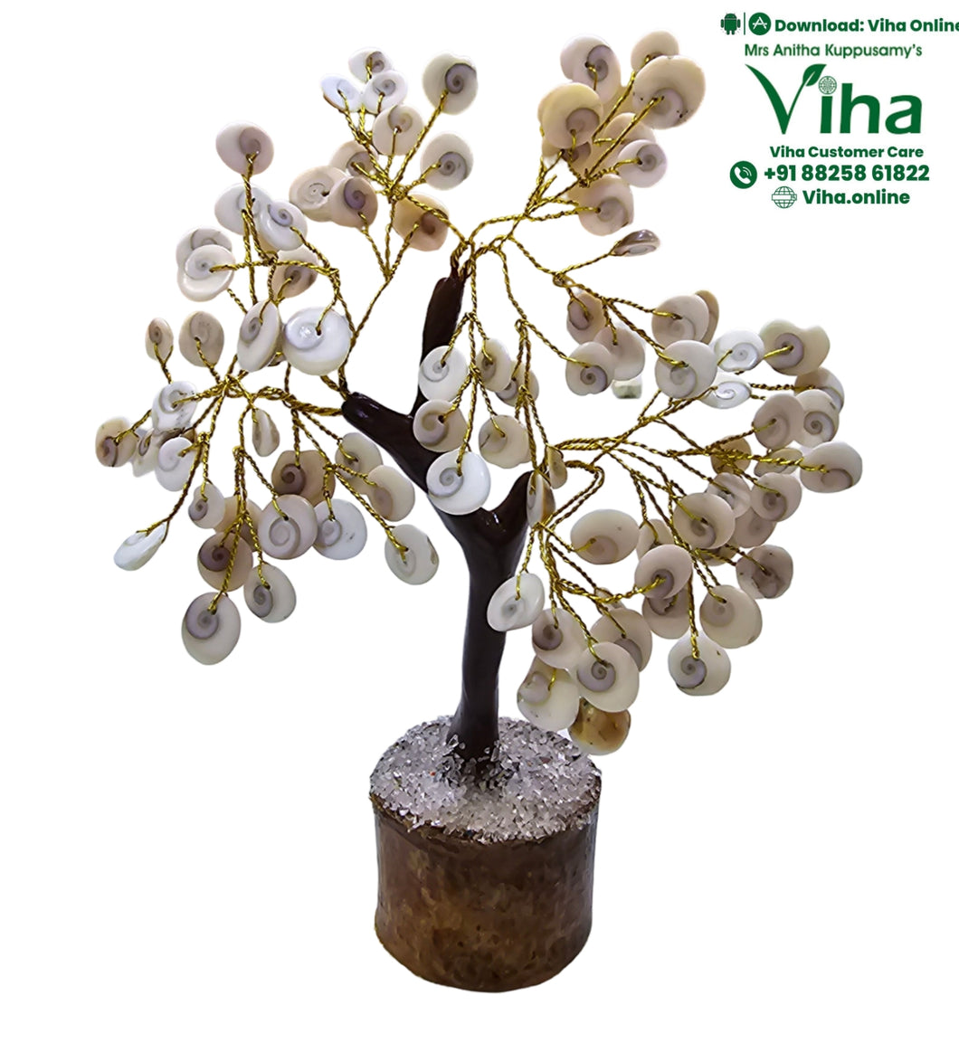 Gomati Chakra Tree - 100 Pcs Gomti Chakra Tree