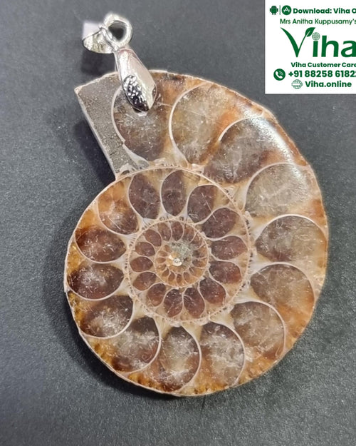 Ammonite Pendant - Natural with chambered pattern
