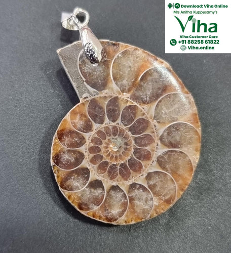 Ammonite Pendant - Natural