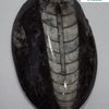 Kuber Stone (orthoceras stone), an oval polished grey stone with twelve ribbed lines and a central ridge