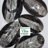 Kuber Stone (orthoceras stone), five polished black and grey cabochons with fossilized patterns