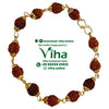 Rudraksh Bracelet, brown rudraksha beads with brass cappings linked in a circle