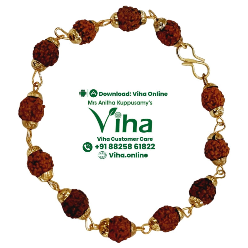 Rudraksh Bracelet, brown rudraksha beads with brass cappings linked in a circle