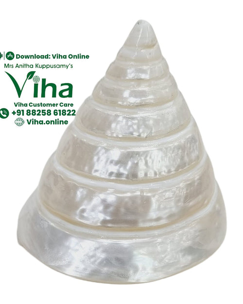 Moti Sankh, a glossy white conical shell with six coiled tiers tapering to a pointed apex