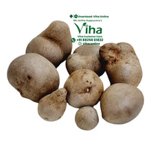 Kodi Urulai / Air Potato for Planting