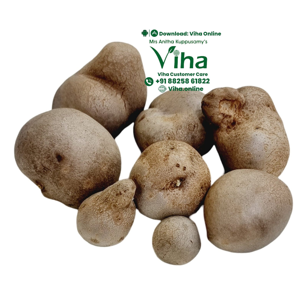 Kodi Urulai / Air Potato for Planting