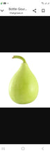 Sombu Gourd Seeds / Sombhu Suraikkaai Seeds