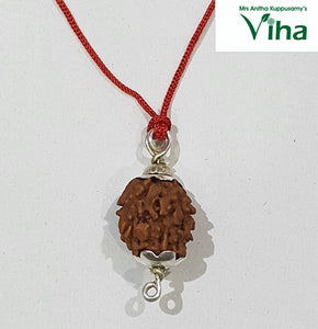 2 Face Rudraksh with Silver Cappings