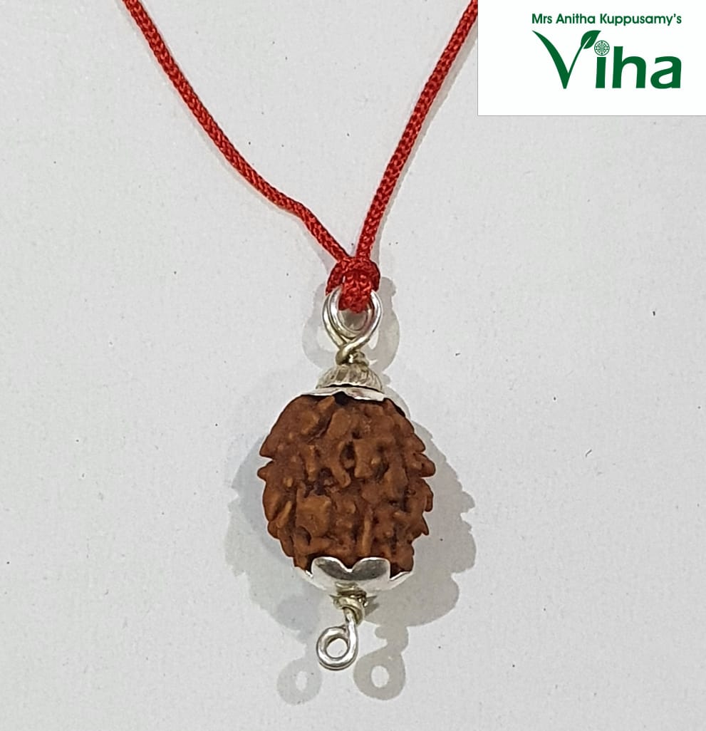 2 Face Rudraksh with Silver Cappings