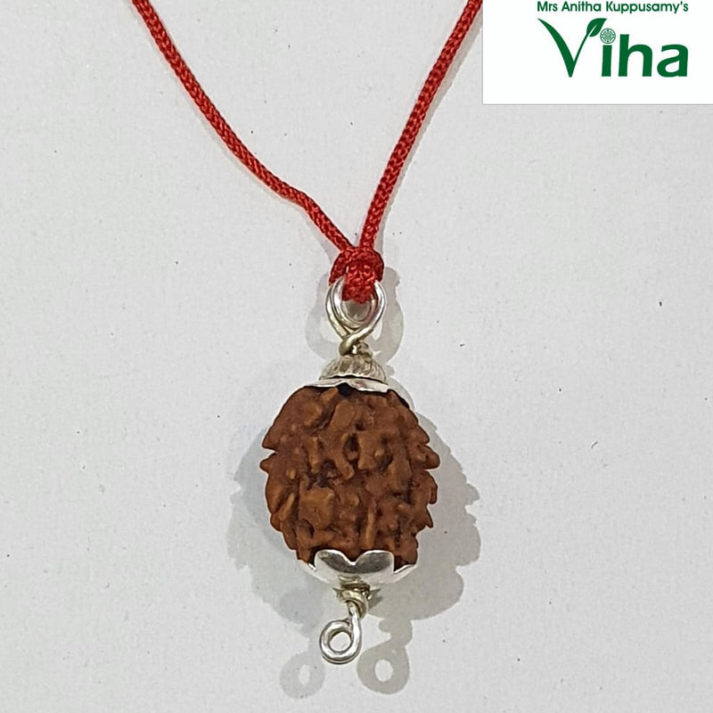 2 Face Rudraksh with Silver Cappings, textured pendant and red cord