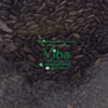 Valan Samba Traditional Organic Rice / Vadan Samba Rice, many dark-brown elongated rice grains filled in a bag