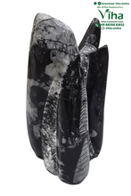 Kuber Stone Tower | Orthoceras Stone Natural