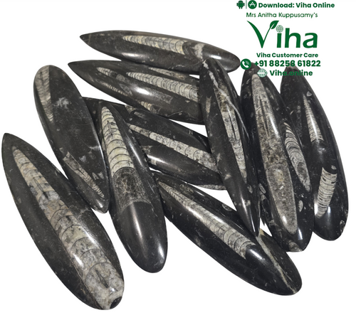 Kuber Stone | Orthoceras Stone Natural