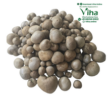 Kodi Urulai / Air Potato for Planting