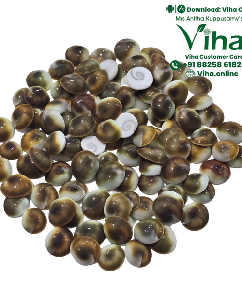 108 Gomathi Chakras (spiral shells) For Kubera Pooja