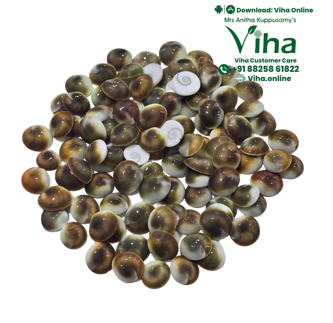 108 Gomathi Chakras For Kubera Pooja