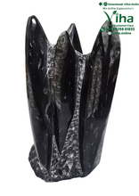 Kuber Stone Tower | Orthoceras Stone Natural