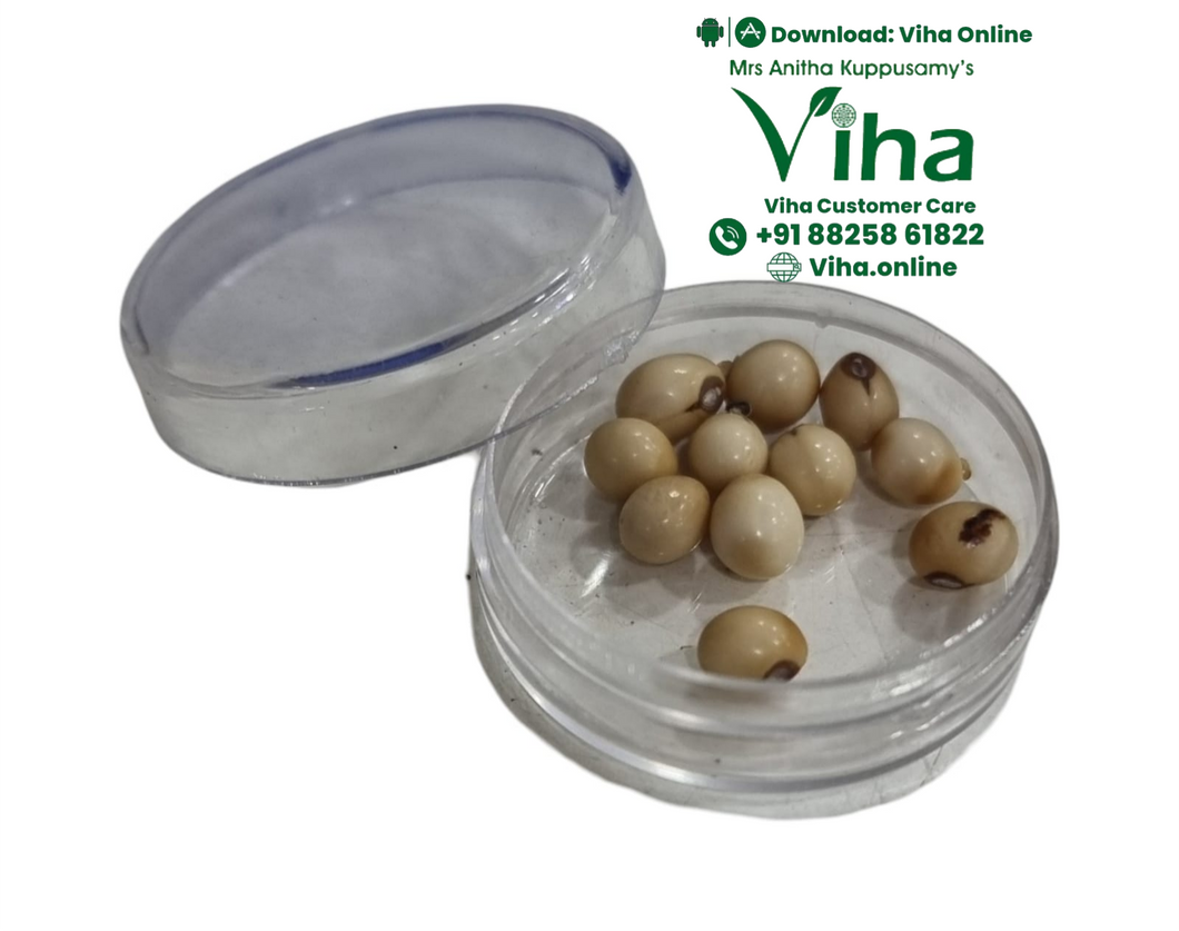 Kundrinmani White Colour | White Chirmi Beads - 11 Pieces