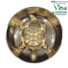 Vastu Tortoise Yantra Brass, a polished gold-toned bowl holding a matching tortoise figure with four legs, a tail and a ridged shell