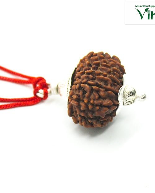 13 Face Rudraksh With Silver Cappings on a red cord