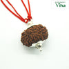 13 Face Rudraksh With Silver Cappings, a brown, rough-textured seed pendant with silver-toned caps on a red cord