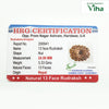 13 Face Rudraksh With Silver Cappings
