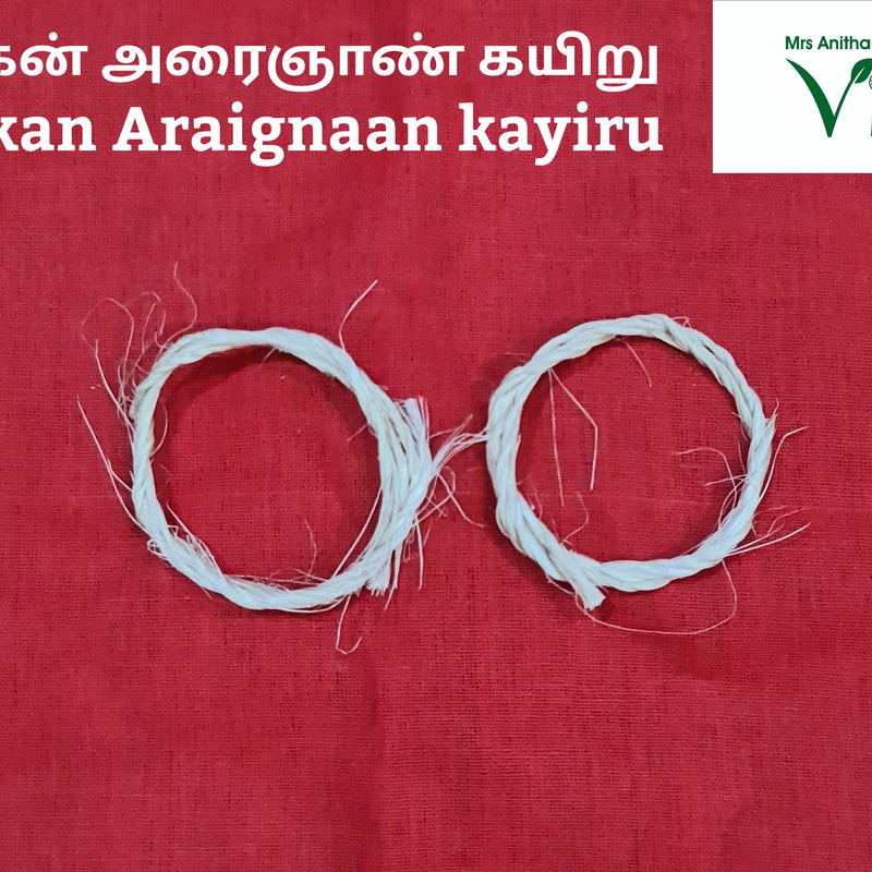 Erukkan Araignan Kodi /Erukkan Araignaan Kayiru, two off-white twisted fiber rings with frayed ends on a red fabric background