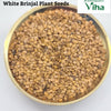 White Round Brinjal Seeds / Vellai Kundu  Kathari Vidhaigal