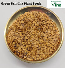 Green Round Brinjal Seeds / Pachai Katharikkaai Vidhaigal / Green Round Katharikaai Vidhaigal